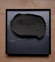 Load image into Gallery viewer, TREERING #04