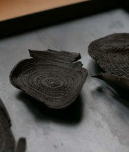 Load image into Gallery viewer, TREERING  #03
